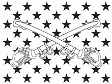 Load image into Gallery viewer, Customizable, Made to Order, Rustic, Handcrafted, Wooden Flags. You select the Union type.